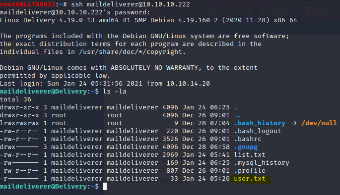 Hackthebox delivery - user flag