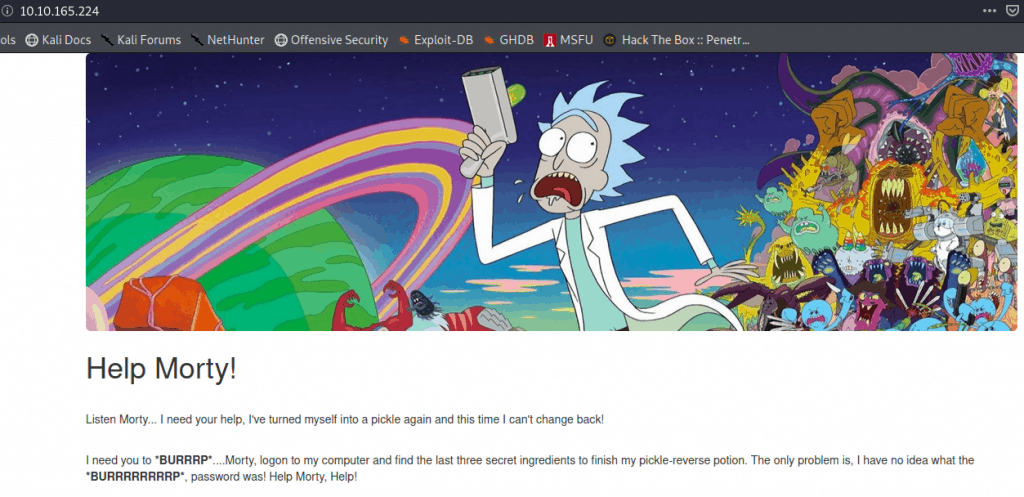 Pickle Rick on Tryhacke