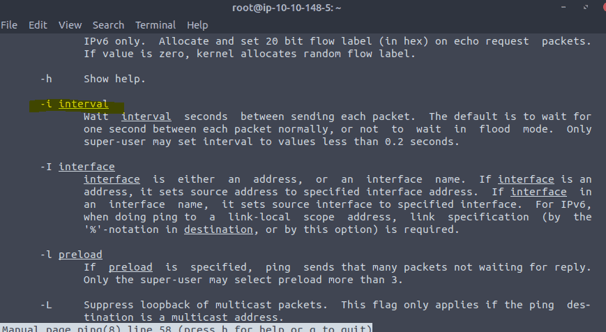 Introductory Networking - man ping