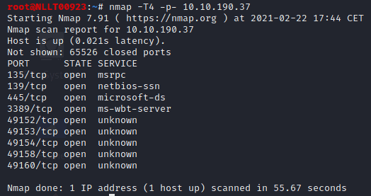Blue on Tryhackme - The Dutch Hacker