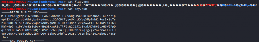 Weak RSA Challenge on hackthebox