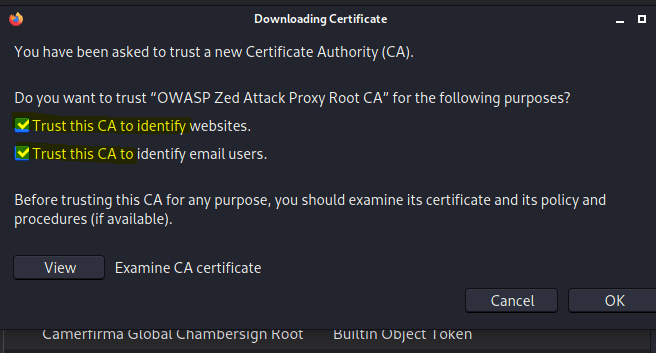 Import certificate on firefox