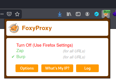 burp anbd foxyproxy