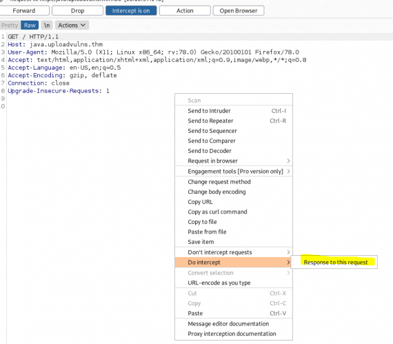 Upload Vulnerabilities on Tryhackme - The Dutch Hacker