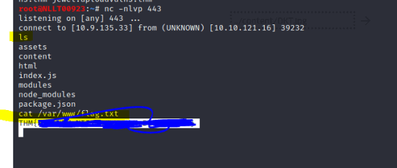 tryhackme burp suite walkthrough tryhackme burp suite walkthrough