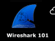 Wireshark 101 tryhackme