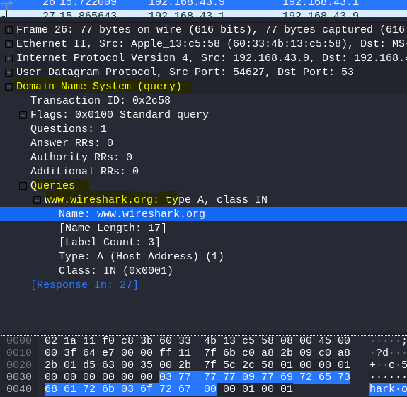 Wireshark 101