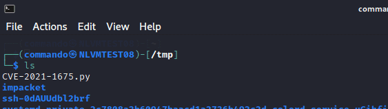 exploit the PrintNightmare