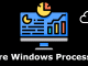 Core Windows Processes Tryhackme