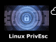 Linux PrivEsc tryhackme