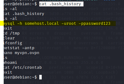 bash history exploit