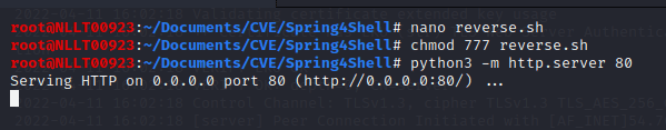 spring4shell tryhackme